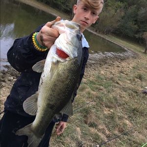 Meet your Posher, Ty